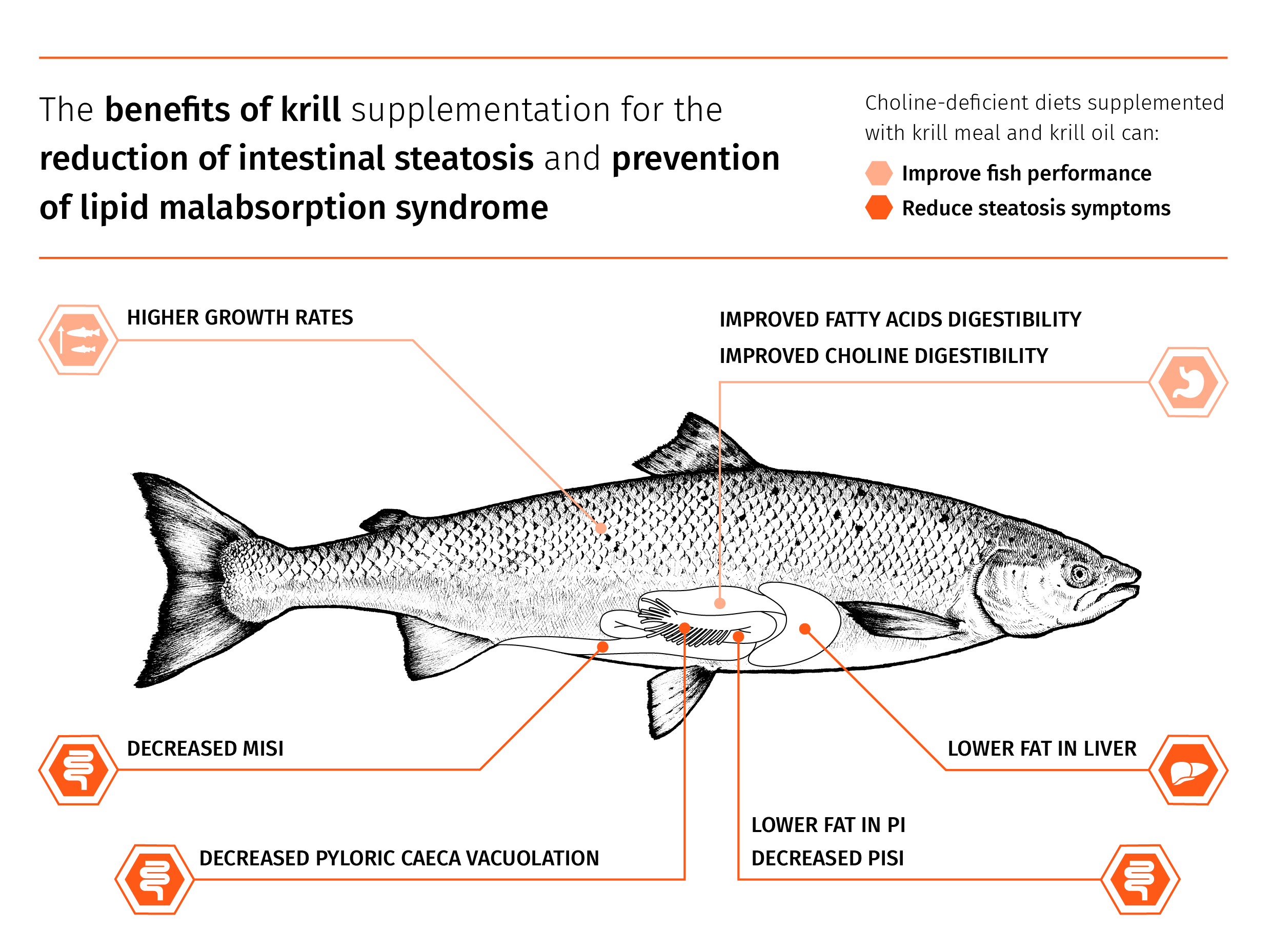 Aker_White paper salmon infographics_14.02.2023_Figure 5
