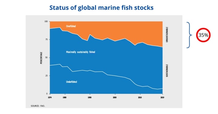Status of global marine fish stocks