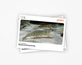 18MAI26_Mockup_WhitePaper_Shrimp_Liggende_5x4