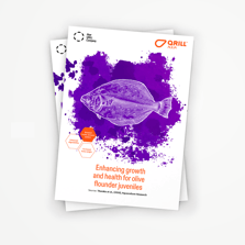 QRILL_AQUA_WHITEPAPER_OLIVE_FLOUNDER_AQC_MOCKUP_FRONTPAGE_9JAN25