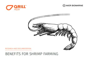 Krill research and documention on shrimp