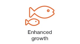 enhanced-growth.jpg