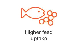 higher-feed-uptake.jpg
