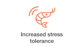 increased-stress-tolerance.jpg