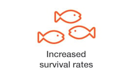 increased-survival-rates.jpg