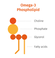 Omega-3 phospholipid .png