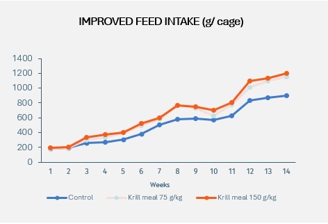 Screenshot 2026-04-13 144931