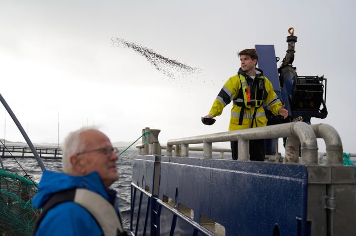 Produksjonssjef Johan Løvold i Selsøyvik kaster fôr, eier og daglig leder i Selsøyvik Havbruk i forgrunnen