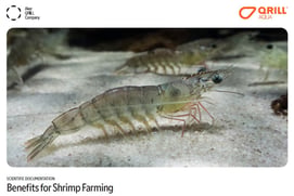 Shrimp science booklet