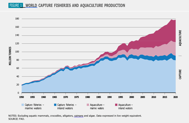 World capture fisheries and aquaculture production
