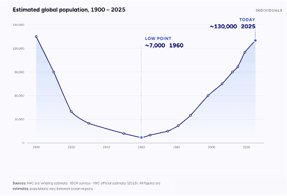 WhalePopulation_kutta