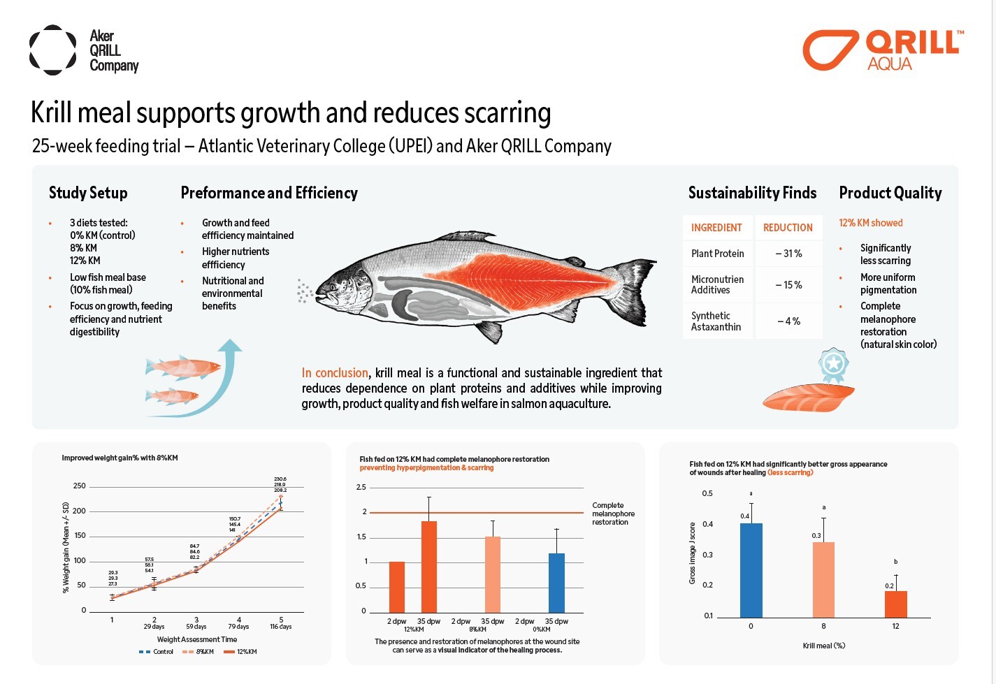 Wound healing infographic