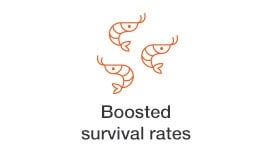 boosted-survival-rates.jpg