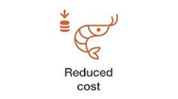Krill can help reduce costs of shrimp