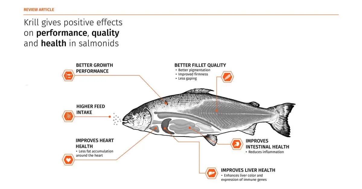 salmonids-study-linkedin-format-image-2