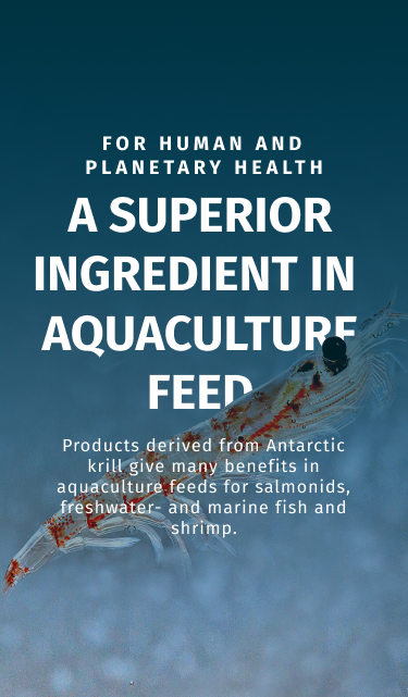 QRILL Aqua: A Superior Ingredient In Aquaculture Feed