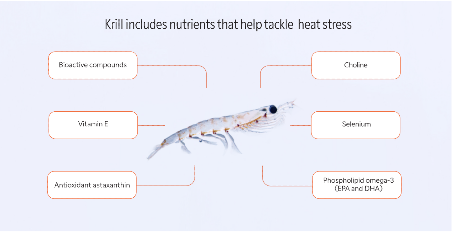 krill